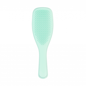 tangle-teezer-wet-detangler-fine-et-fragile-jade-lagoon