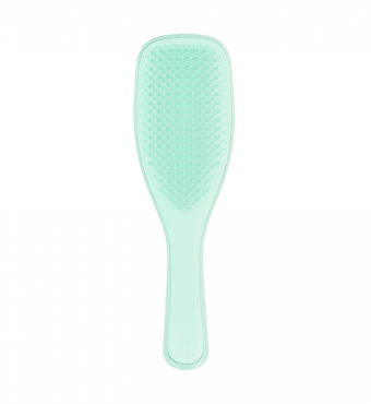 tangle-teezer-wet-detangler-fine-et-fragile-jade-lagoon