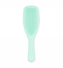 tangle-teezer-wet-detangler-fine-et-fragile-jade-lagoon