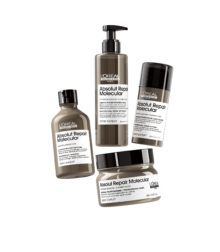 Absolut-repair-molecular